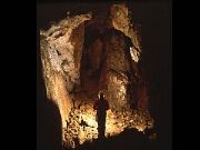 AUTORE: Luigi Dorigo - Ali e Radici Multivisioni AUTORE: Luigi Dorigo - Ali e Radici Multivisioni /