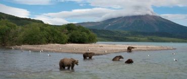 AUTORE: Giorgio Pavan e Rosa Salvi AUTORE: Giorgio Pavan e Rosa Salvi /