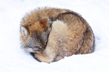 AUTORE: Roberto Bartoloni AUTORE: Roberto Bartoloni