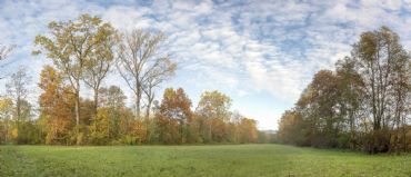 AUTORE: Luigi Dorigo - Ali e Radici Multivisioni AUTORE: Luigi Dorigo - Ali e Radici Multivisioni /