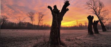 AUTORE: Luigi Dorigo - Ali e Radici Multivisioni AUTORE: Luigi Dorigo - Ali e Radici Multivisioni