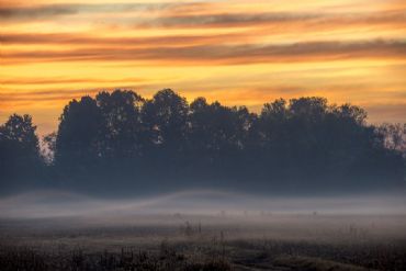 AUTORE: Breda Gianangelo AUTORE: Breda Gianangelo