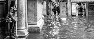 AUTORE: Luigi Dorigo - Ali e Radici Multivisioni AUTORE: Luigi Dorigo - Ali e Radici Multivisioni /