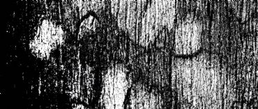 AUTORE: Luigi Dorigo - Ali e Radici Multivisioni AUTORE: Luigi Dorigo - Ali e Radici Multivisioni