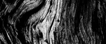 AUTORE: Luigi Dorigo AUTORE: Luigi Dorigo /