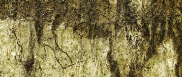 AUTORE: Luigi Dorigo AUTORE: Luigi Dorigo