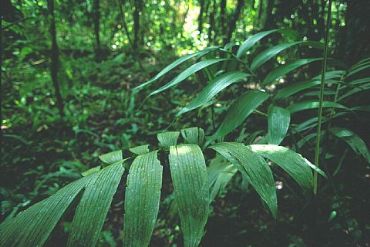 AUTORE: IdeaMultivisioni AUTORE: IdeaMultivisioni