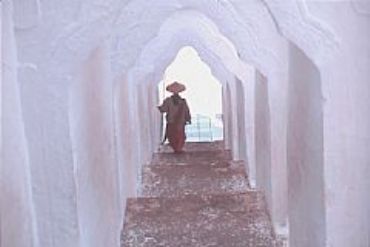 AUTORE: Merlino Multivisioni AUTORE: Merlino Multivisioni