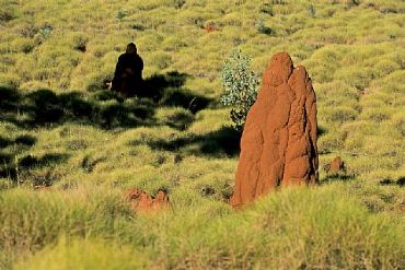AUTORE: Luigi Dorigo - Ali e Radici Multivisioni AUTORE: Luigi Dorigo - Ali e Radici Multivisioni