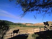 AUTORE: Altri Autori AUTORE: Altri Autori /