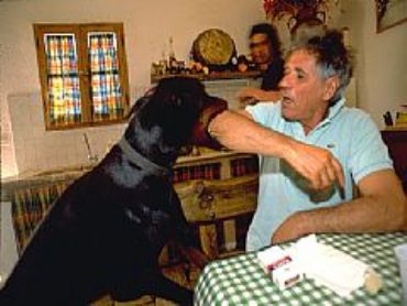 AUTORE: Altri Autori AUTORE: Altri Autori