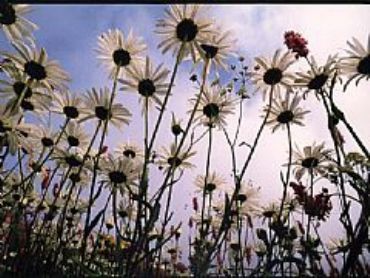 AUTORE: Valter Binotto AUTORE: Valter Binotto