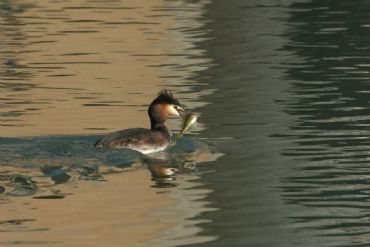 AUTORE: 360° Multivisioni AUTORE: 360° Multivisioni