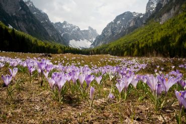 AUTORE: Roberto Valenti AUTORE: Roberto Valenti