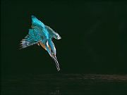 AUTORE: Valter Binotto AUTORE: Valter Binotto /