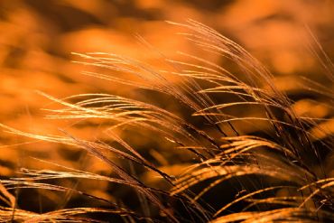 AUTORE: Roberto Valenti AUTORE: Roberto Valenti