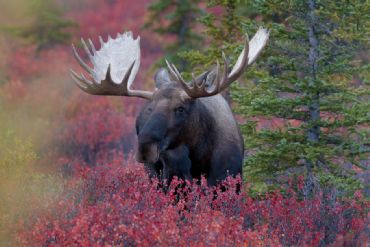 AUTORE: Roberto Valenti AUTORE: Roberto Valenti