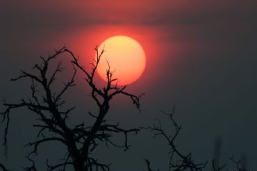 AUTORE: Luigi Dorigo - Ali e Radici Multivisioni AUTORE: Luigi Dorigo - Ali e Radici Multivisioni