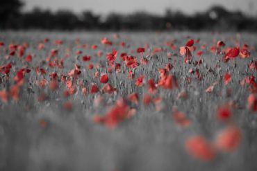 AUTORE: Rinaldo Checuz AUTORE: Rinaldo Checuz