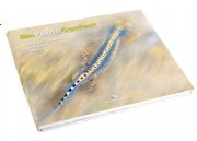 AUTORE: Merlino Multivisioni AUTORE: Merlino Multivisioni /