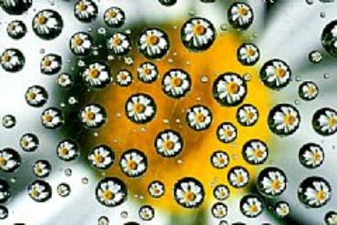 AUTORE: Carlo De Agnoi AUTORE: Carlo De Agnoi /