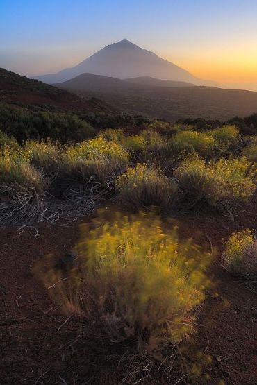 AUTORE: Marco Dian AUTORE: Marco Dian