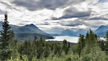 AUTORE: Luigi Dorigo - Ali e Radici Multivisioni AUTORE: Luigi Dorigo - Ali e Radici Multivisioni