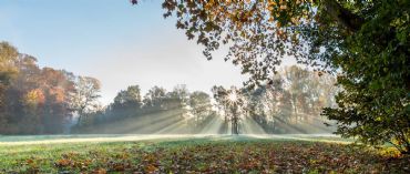 AUTORE: Luigi Dorigo - Ali e Radici Multivisioni AUTORE: Luigi Dorigo - Ali e Radici Multivisioni